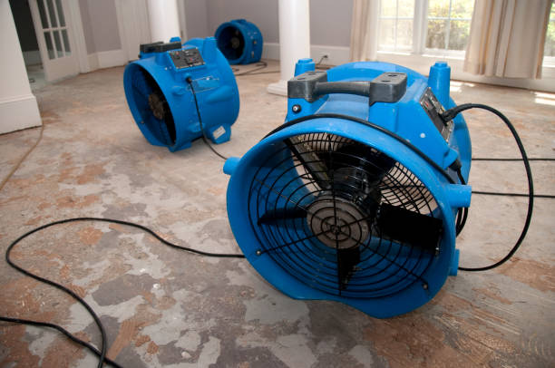 Best Flood restoration services  in Jones Creek, TX