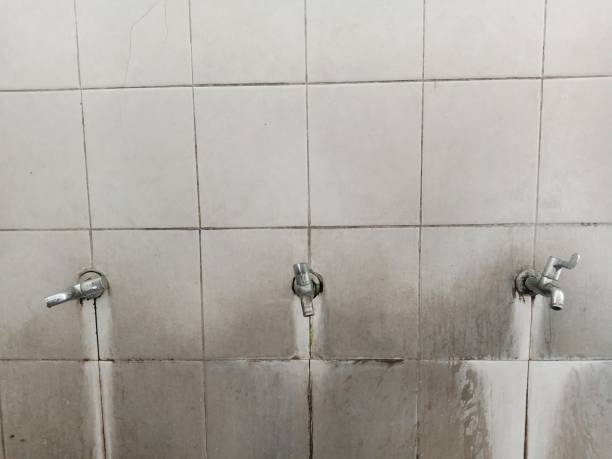Best Mold removal after water damage  in Jones Creek, TX