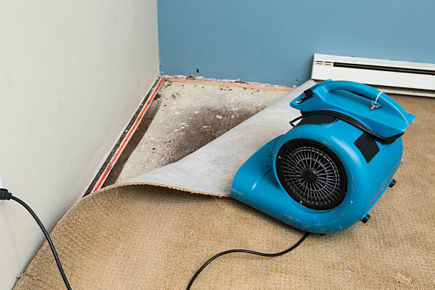 Best Water damage restoration near me  in Jones Creek, TX
